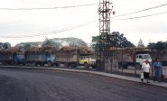 Sugar Cane Deliveries